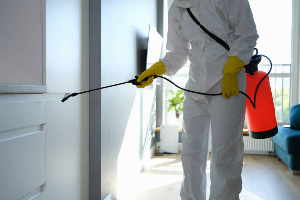 Professional Mold Prevention & Removal  in Konawa, OK